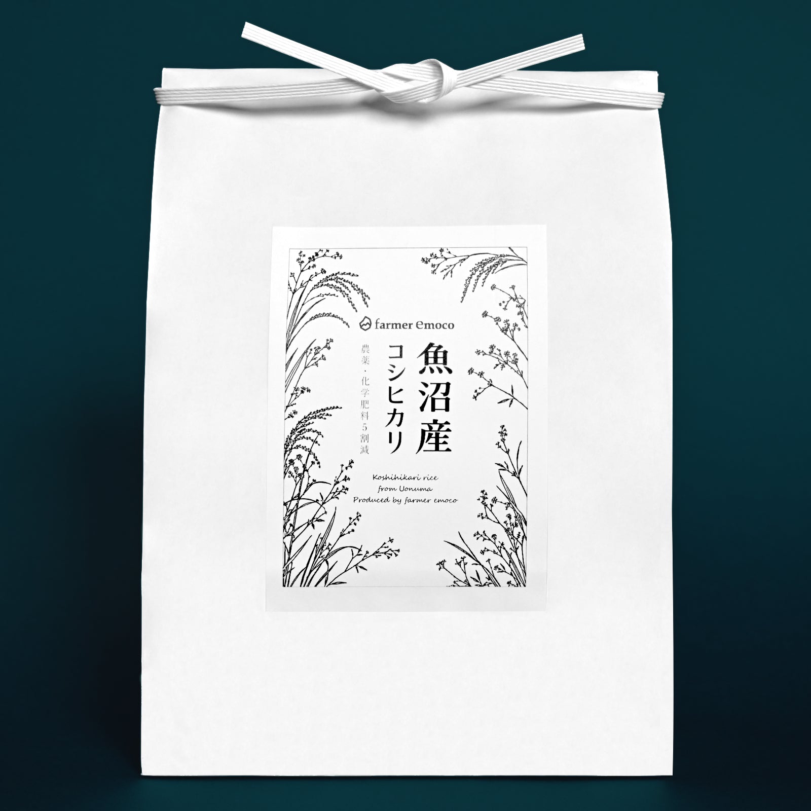魚沼産コシヒカリ 令和8年産 農薬5割減・化学肥料5割減 玄米 新米 5kg