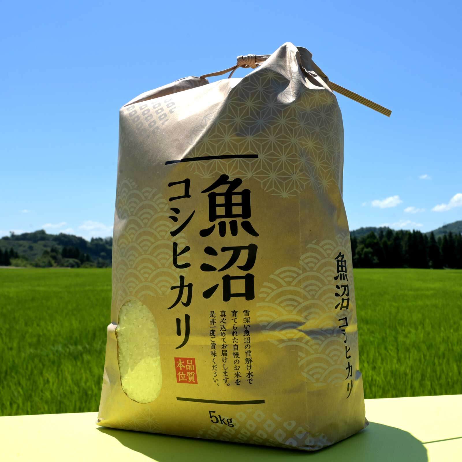 袋に入った5kgの米