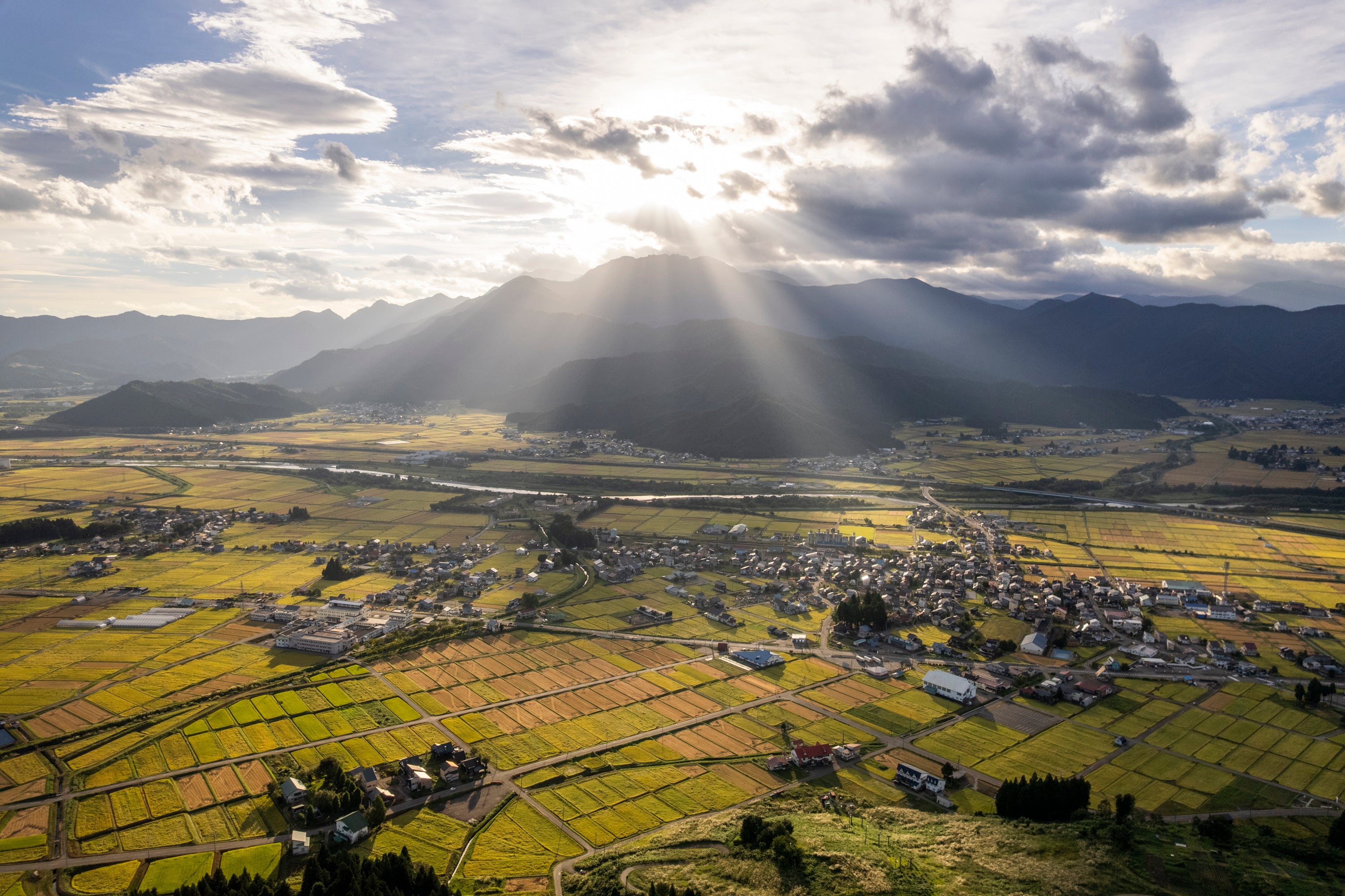 田んぼの向こうに連なる山々の様子