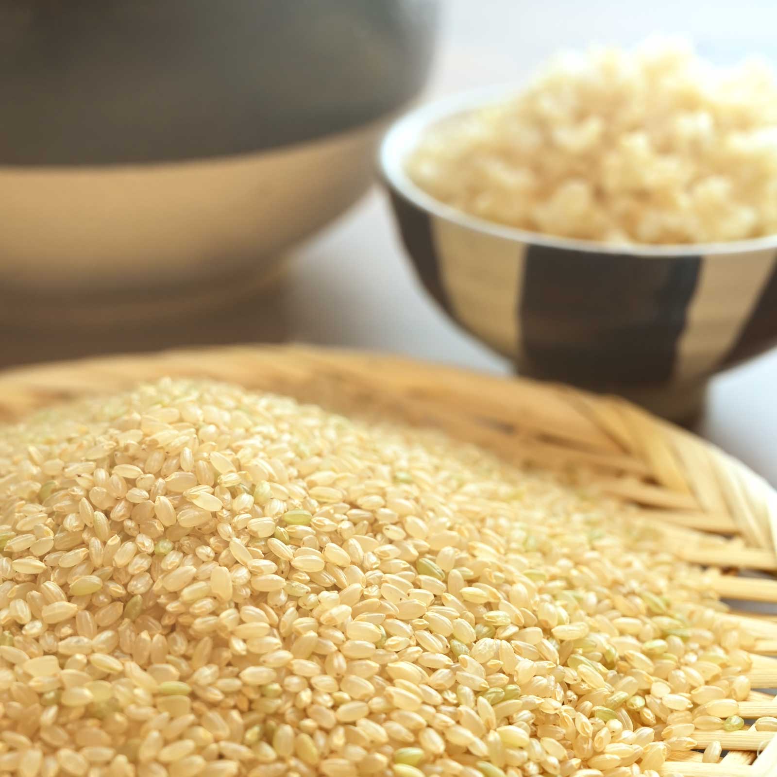 玄米の生米とお茶碗に盛られた玄米ごはん