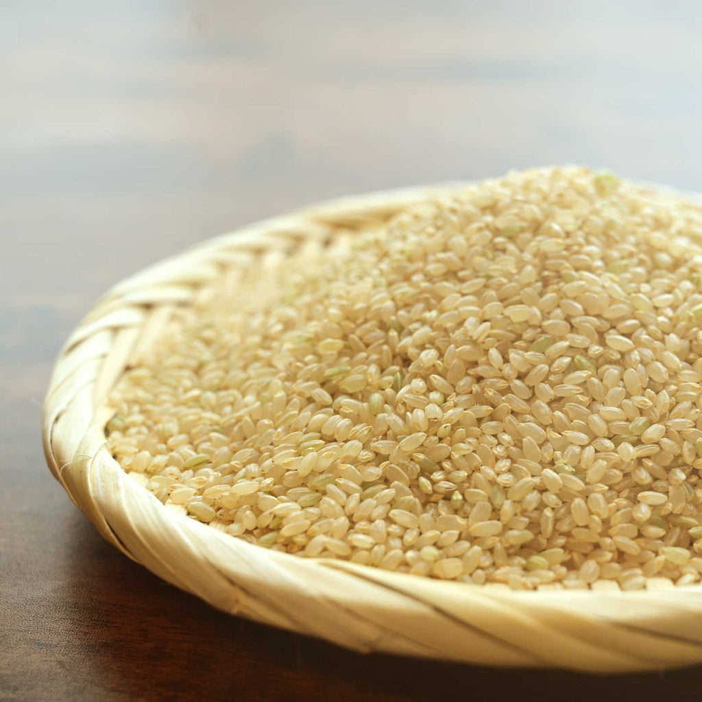 皿に盛られた生の玄米