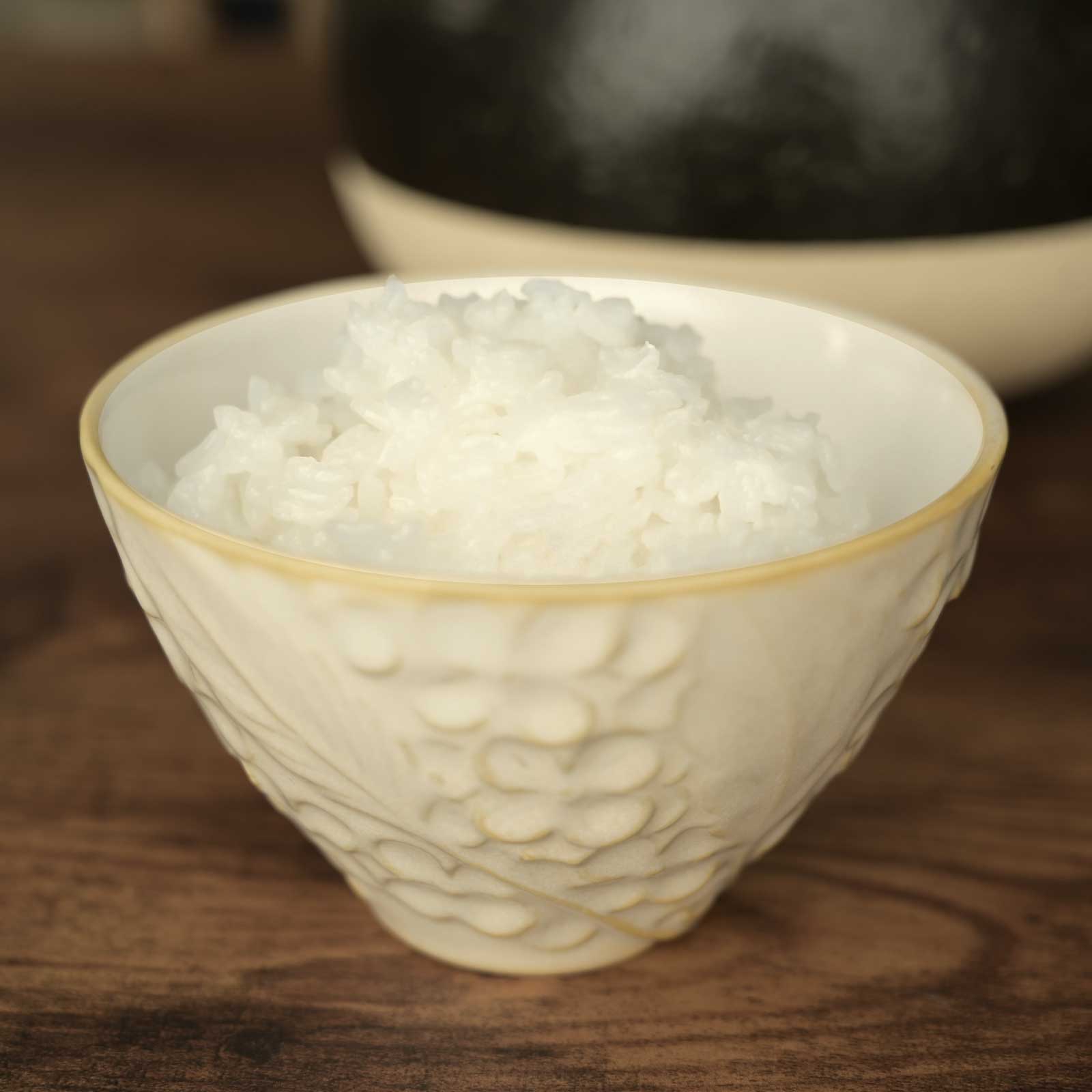 お茶碗に盛られたごはん