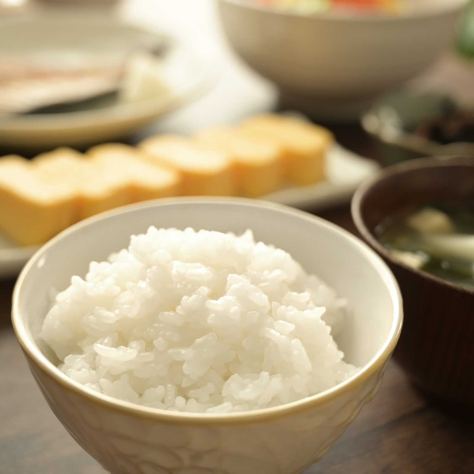 みずみずしくツヤのある白いごはん