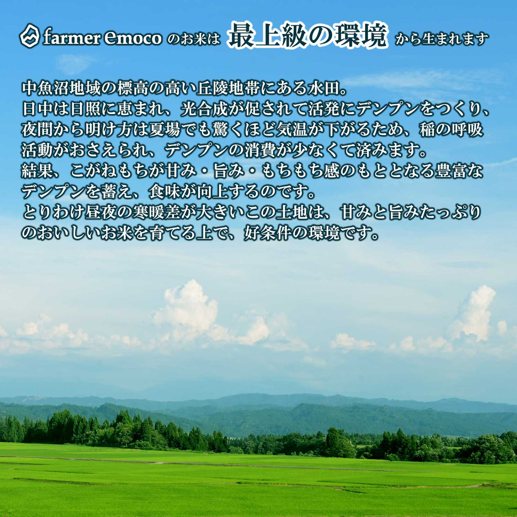 おいしいもち米が育つ恵まれた環境