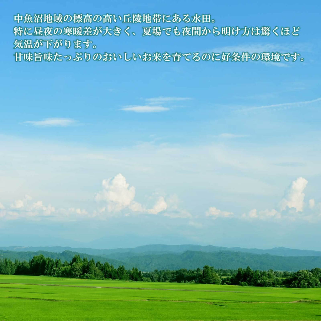 標高の高い丘陵の水田