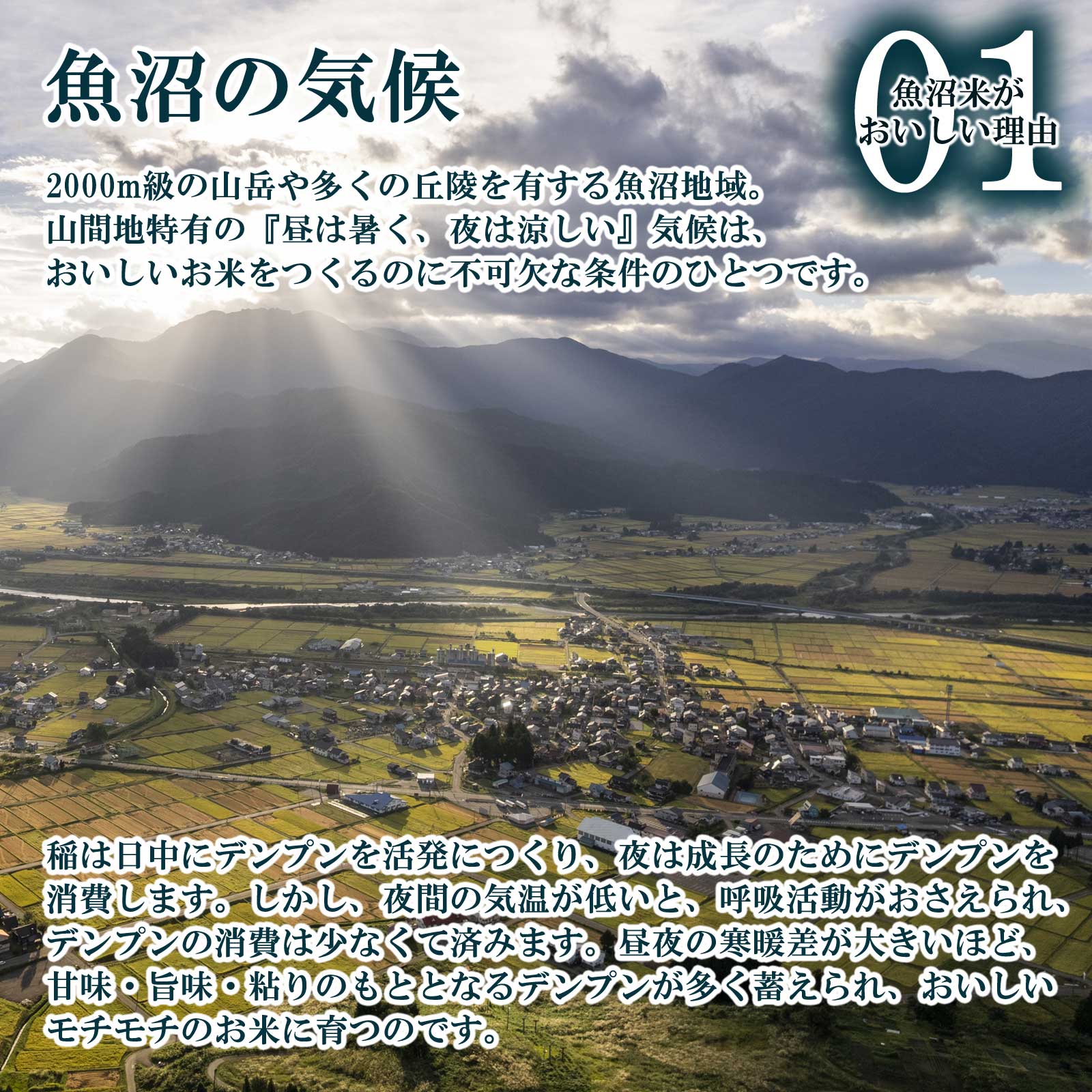 田んぼの奥にそびえる山々の様子と魚沼産コシヒカリがおいしい理由