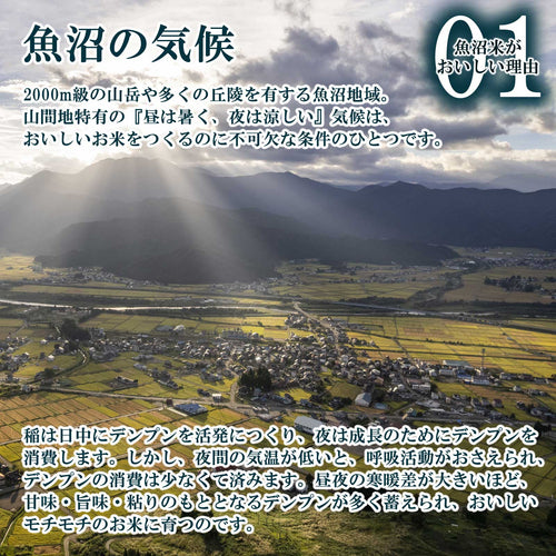 田んぼの奥にそびえる山々の様子と魚沼産コシヒカリがおいしい理由