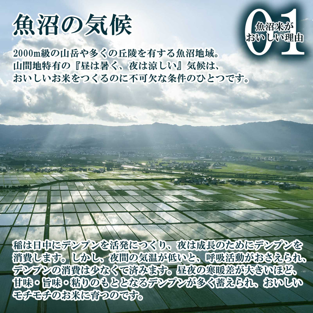 広大な水田を照らす太陽の様子と魚沼産コシヒカリがおいしい理由