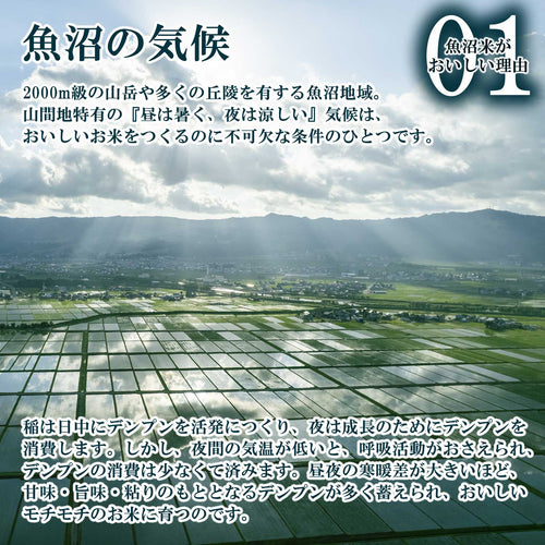広大な水田を照らす太陽の様子と魚沼産コシヒカリがおいしい理由