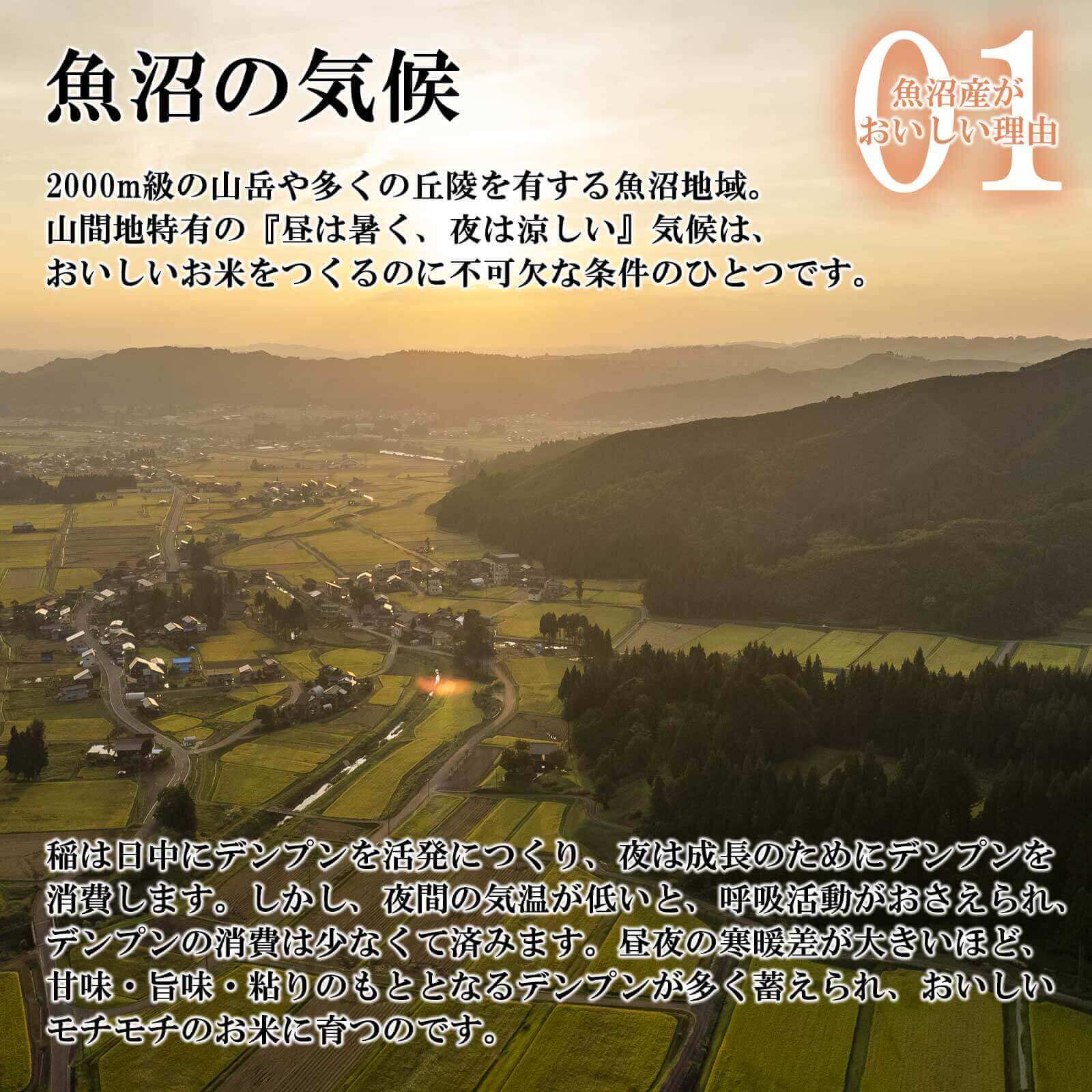 山間地の水田の様子