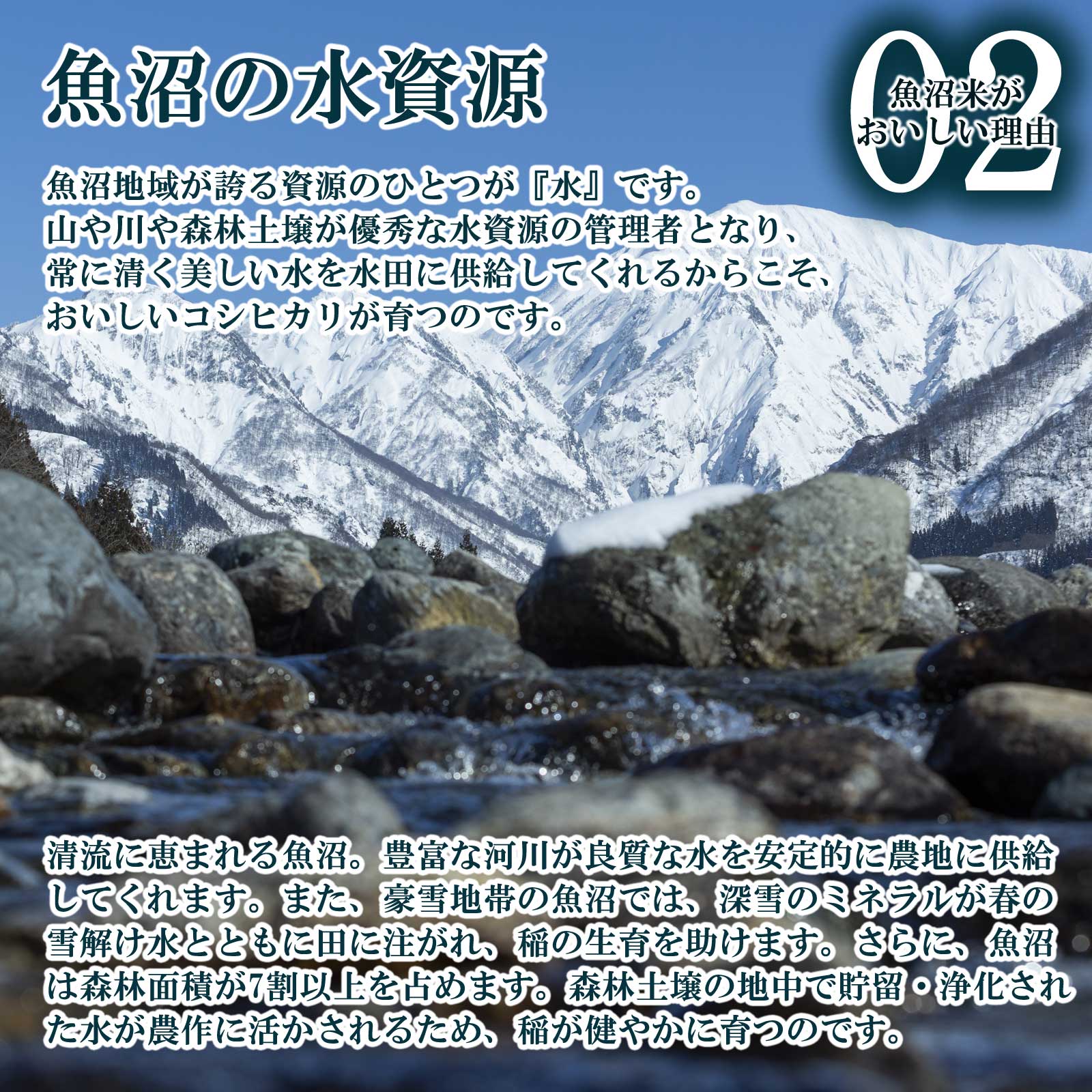 雪山から雪解け水が流れる川の様子と魚沼産コシヒカリがおいしい理由