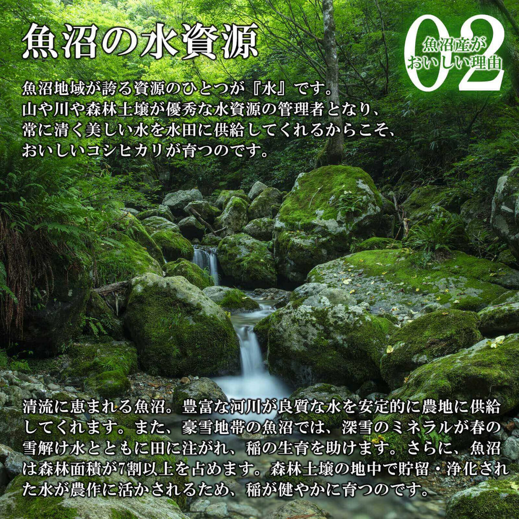 森の中を流れる小川