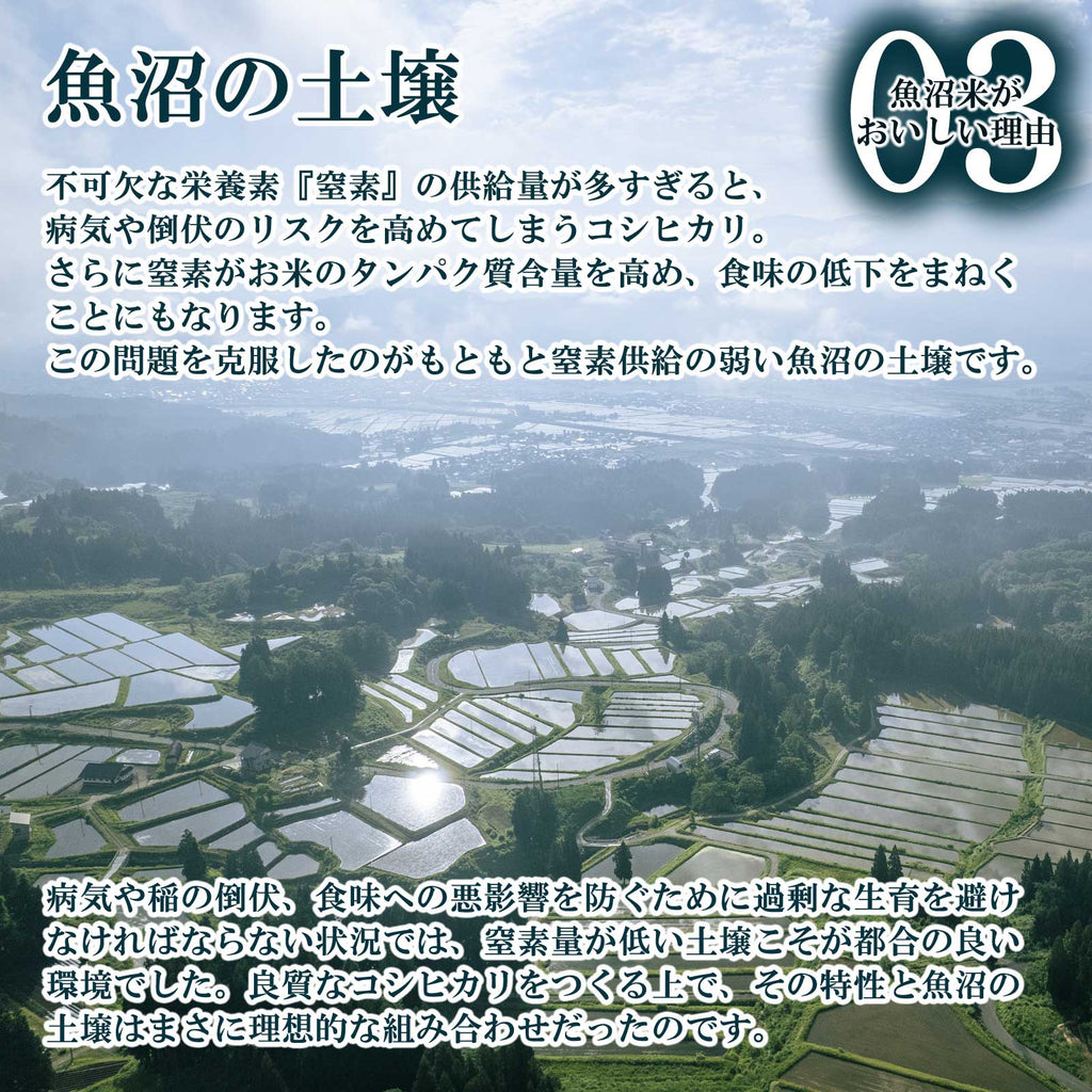 山の裾まで広がる水田の様子と魚沼産コシヒカリがおいしい理由