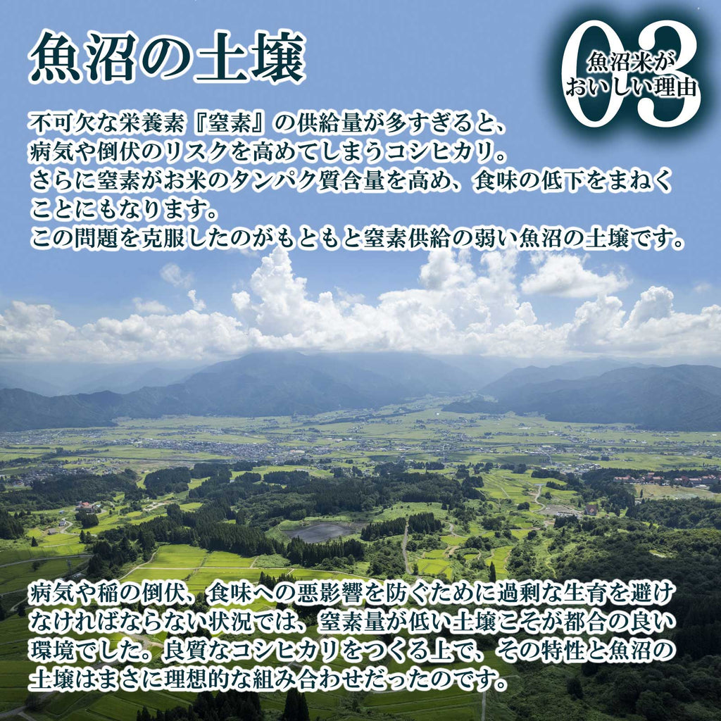 大地に広がる田んぼと森の様子と魚沼産コシヒカリがおいしい理由