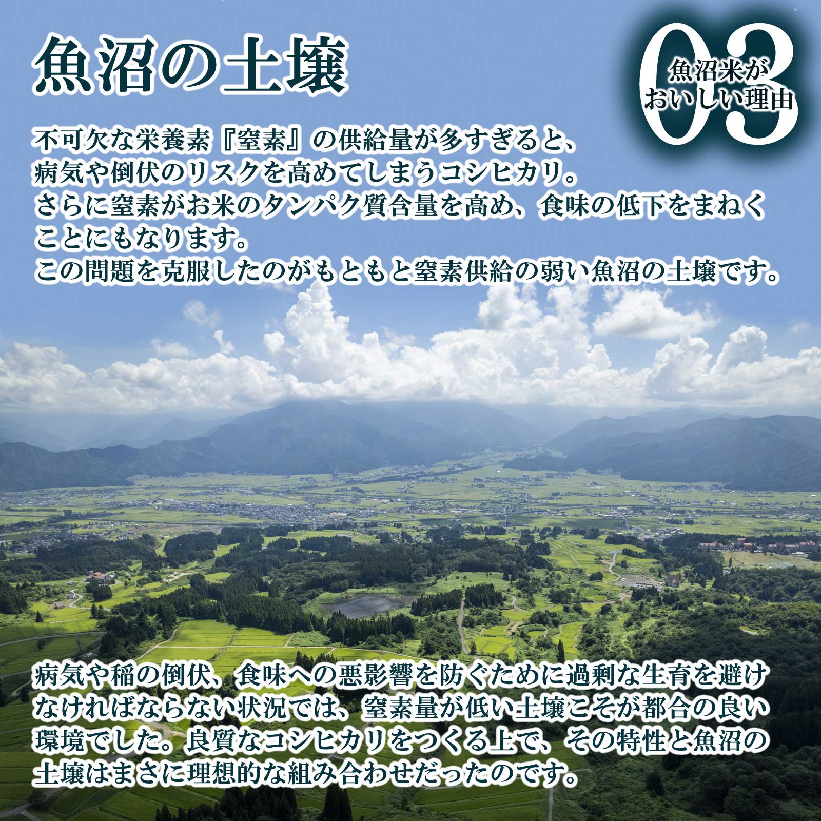 大地に広がる田んぼと森の様子と魚沼産コシヒカリがおいしい理由