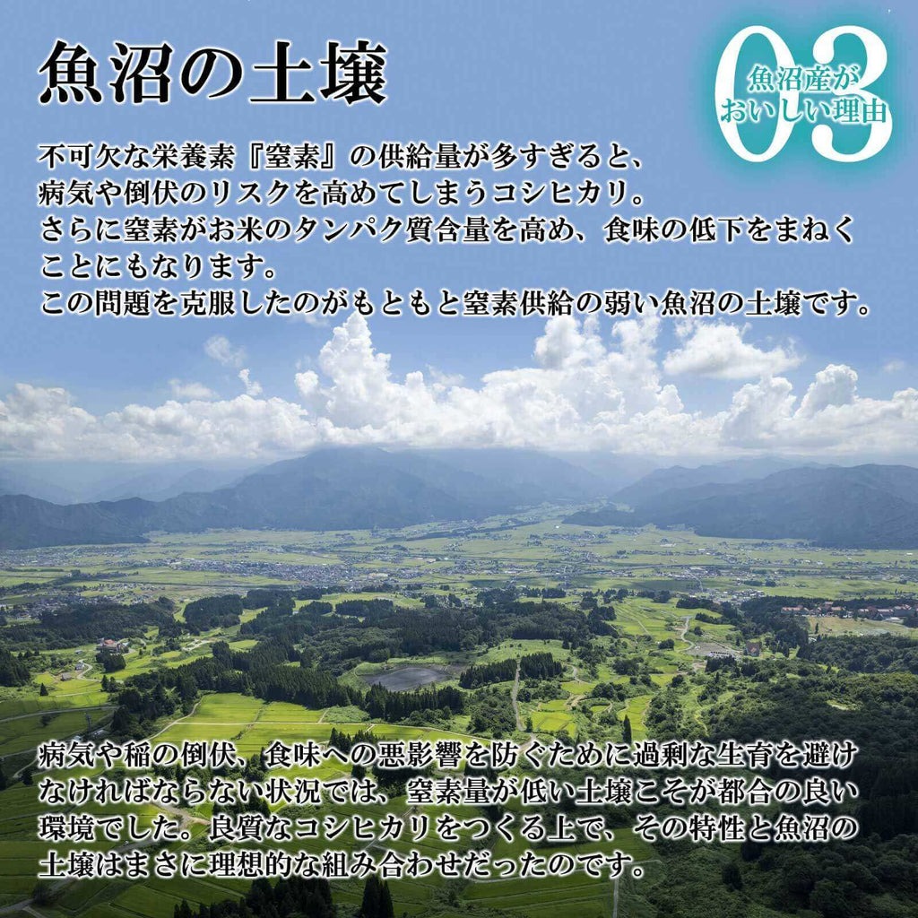 水田と森と遠くの山