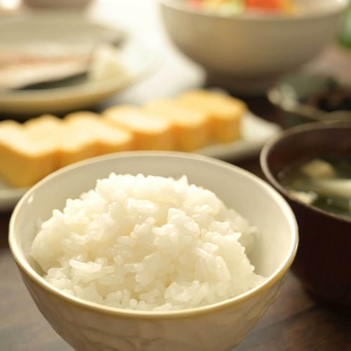 みずみずしくツヤのある白いごはん